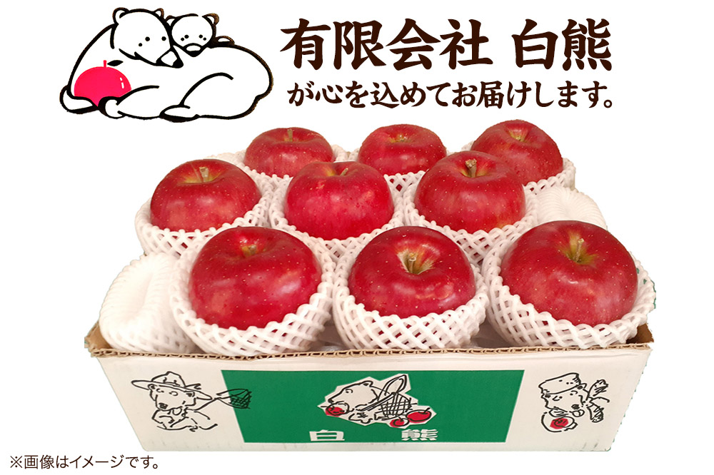 【26年5月発送・先行受付・クール便】りんご 贈答用 白熊 シナノスイート 約3kg（9〜12玉程度）スマートフレッシュ 糖度13度