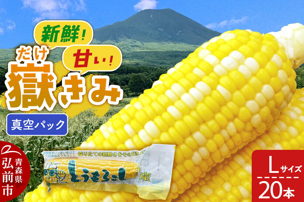【26年10月中旬〜発送】とうもろこし 嶽きみ真空パック Lサイズ 20本 しらかみラボ [先行予約 産地直送 嶽きみ コーン ブランド 真空パック おいしい 青森 野菜 だけきみ]