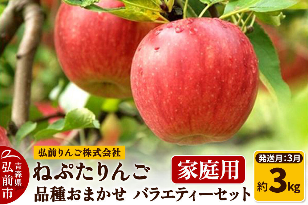 【27年3月クール便発送】りんご ねぷたりんご バラエティーセット【家庭用】約3kg【品種おまかせ】先行受付 家庭用 青森県 弘前市 果物 フルーツ 林檎 リンゴ くだもの 不揃い 規格外 [先行予約 産地直送 詰め合わせ おまかせ セット アップル おいしい 果実 美味 甘い]