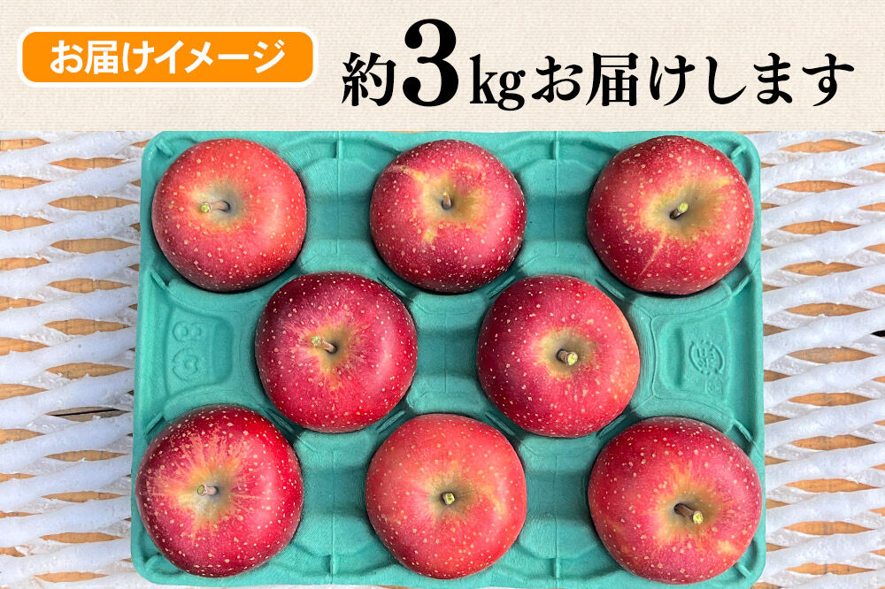 【26年10月下旬〜発送】りんご 千雪 約3kg カワムラファーム【贈答用】青森 果物 フルーツ 林檎 リンゴ くだもの [先行受付 アップル おいしい ちゆき お歳暮 お中元 ギフト プレゼント 果実 果物 赤色 贈り物 美味 林檎 弘前市]