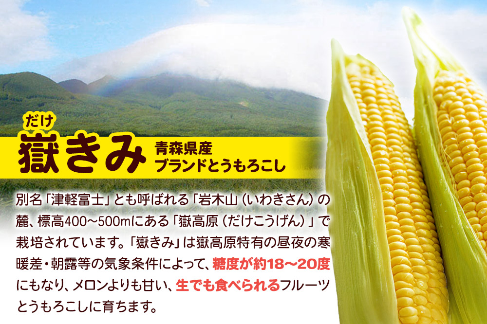 å¶œãã¿ïŒã ãã®ãšãããããïŒã䜿ã£ãããŒã«ã±ãŒãïŒ1æ¬ïŒïŒããªã³ïŒ6åïŒã»ãã 岩æšå°åºã®ç¹ç£å