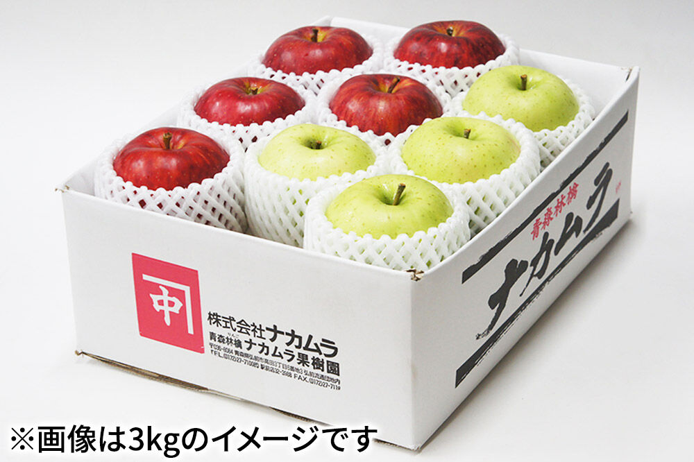 【27年2月発送】りんご サンふじ・王林【贈答用】約3kg（9〜12玉程度）先行受付 青森県産 林檎 リンゴ 果物 くだもの フルーツ 青森県 弘前市 [先行予約 産地直送 ギフト 贈り物 アップル おいしい ふじ 王林 果実 美味 甘い]