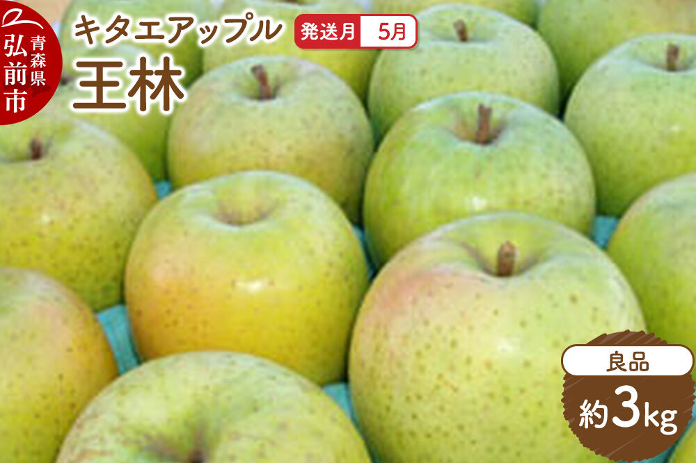 【26年5月クール便発送】りんご 王林【良品】約3kg【CA貯蔵】キタエアップル [贈答 贈り物 アップル 産地直送 青森県 弘前市 詰め合わせ セット 果物 フルーツ 林檎 リンゴ くだもの]