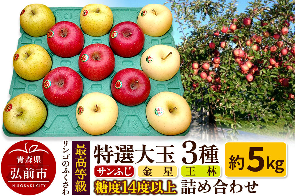 【26年12月〜発送】りんご 最高等級 特選大玉 3種詰め合わせ 約5kg（サンふじ・金星・王林）糖度14度以上 [先行予約 アップル おいしい ふじ りんご 王林 黄色 果実 果物 詰め合わせ 詰合 赤色 糖度 美味 林檎]