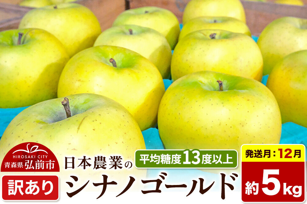 【26年12月発送】りんご シナノゴールド【訳あり】約5kg 平均糖度13度以上 青森県 弘前市 果物 フルーツ 林檎 リンゴ くだもの 不揃い 規格外 [先行受付 家庭用 産地直送 アップル 青森県 弘前市]