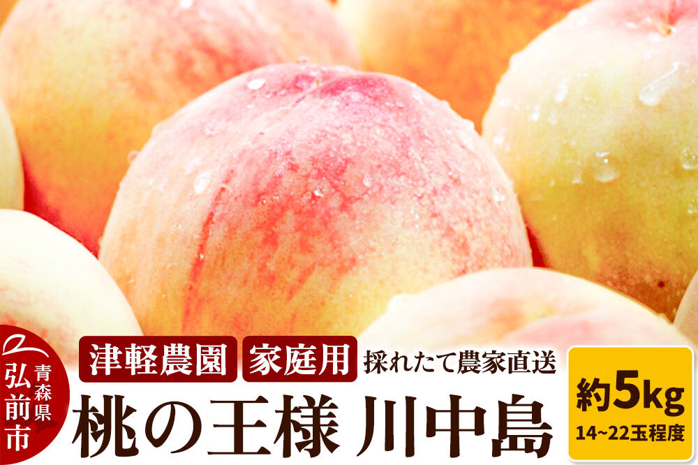 【26年8月発送】桃 約5kg(14〜22玉程度) 青森【2026年産 桃の王様 川中島】もも 家庭用 果物 フルーツ くだもの 津軽農園 採れたて 農家直送 [おいしい ピーチ フルーツ もも 果実 果物 青森 津軽 桃 美味]