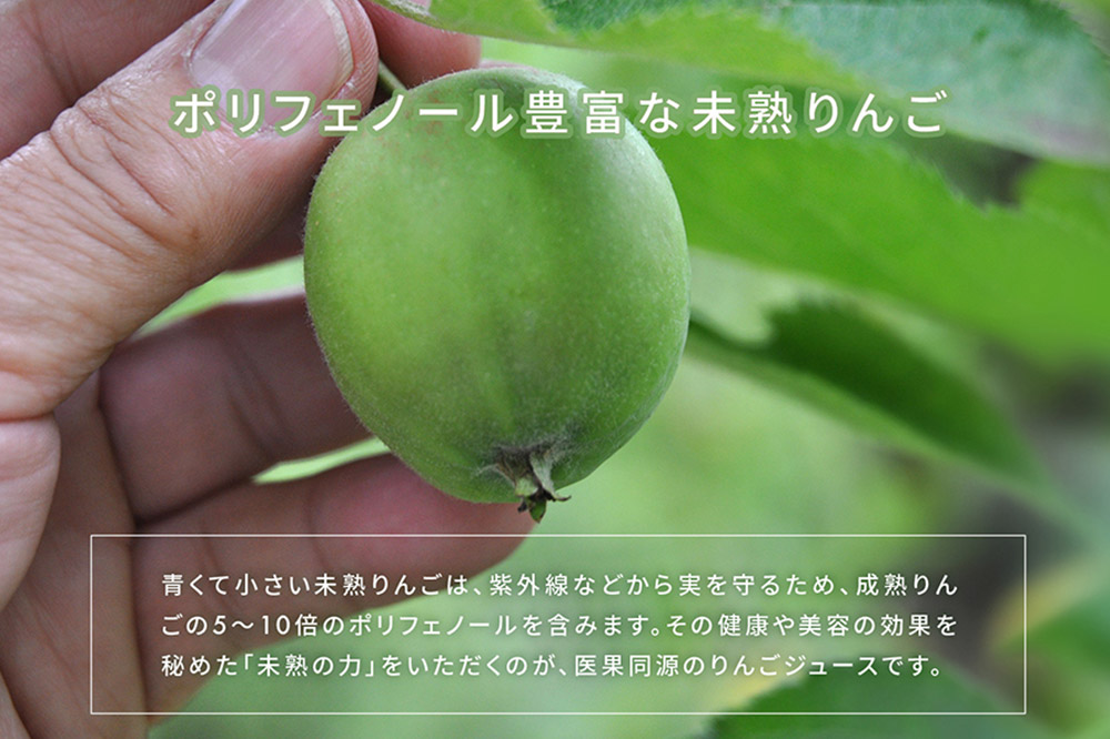 医果同源未熟りんご入り りんごジュース（160g×8本入）