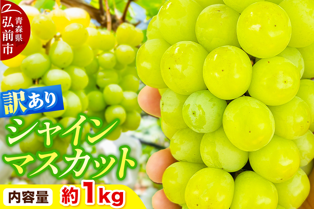 【26年10月〜クール便発送】【先行受付】ぶどう【訳あり】シャインマスカット 約1kg 青森県弘前市