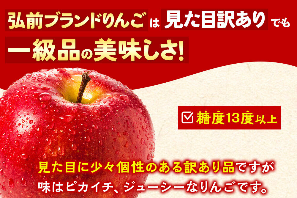 【27年1月発送】りんご 葉取らず サンふじ【訳あり】約10kg 糖度13度以上 EMりんご 林檎 リンゴ 果物 くだもの フルーツ 青森県 弘前市 不揃い 規格外 [先行予約 家庭用 産地直送 アップル 青森県 弘前市]