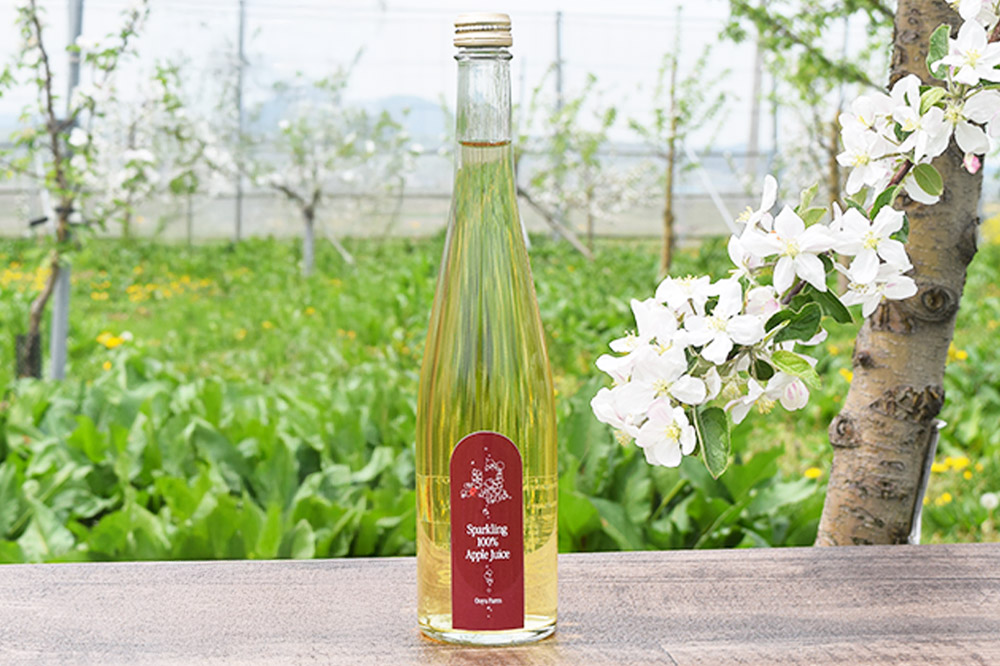 りんご贅沢しぼり 500ml×2本 スパークリング 500ml×1本 計3本セット りんご果汁100％ りんごジュース リンゴ 果汁 林檎 飲料 アップル 果物 フルーツ 青森 飲み物 ドリンク