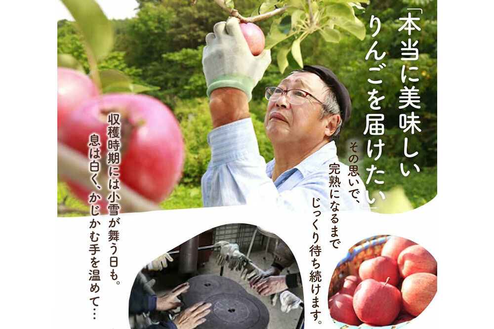 【26年10月中旬〜発送】りんご 弘前ふじ【贈答用】約3kg 内のし付き 青森県 弘前市 [先行予約 アップル おいしい ふじ りんご 果実 果物 赤色 津軽 糖度 美味 林檎]