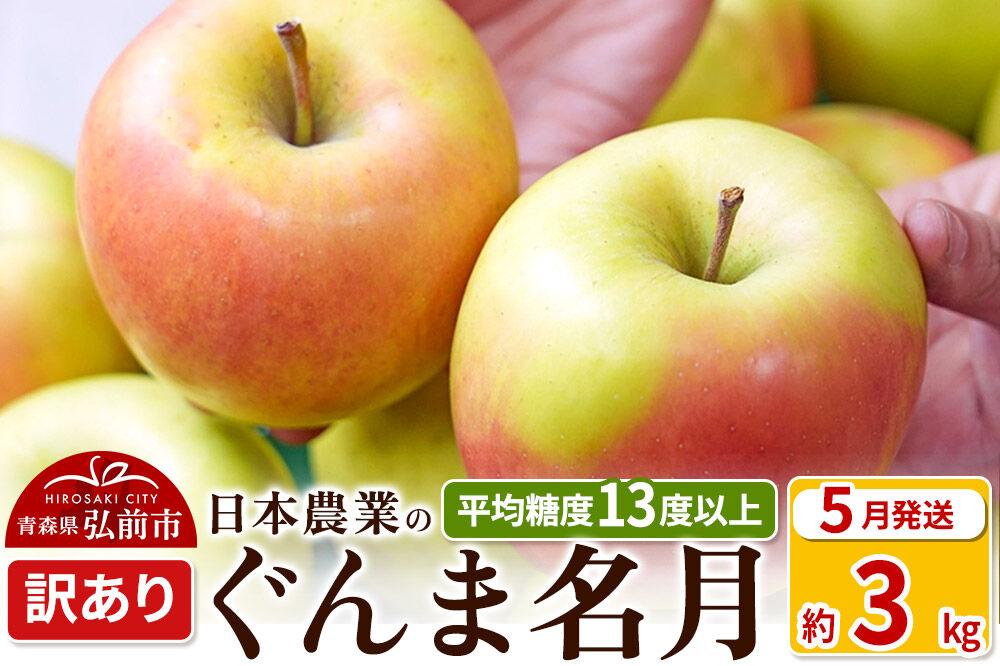 【26年5月クール便発送】りんご 平均糖度13度以上！ぐんま名月 約3kg 訳あり【CA貯蔵】クール便 青森 果物 フルーツ 林檎 リンゴ くだもの 不揃い 規格外 [アップル 果物 産地直送 フルーツ 青森県 弘前市]