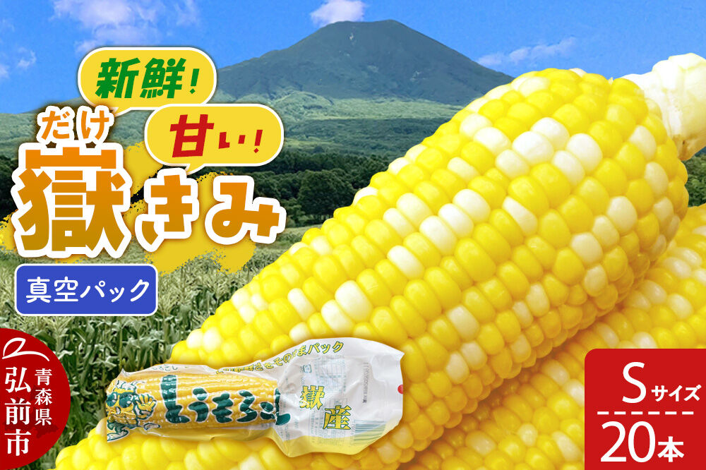 【26年10月中旬〜発送】とうもろこし 嶽きみ真空パック Sサイズ 20本 しらかみラボ [先行予約 産地直送 嶽きみ コーン ブランド 真空パック おいしい 青森 野菜 だけきみ]