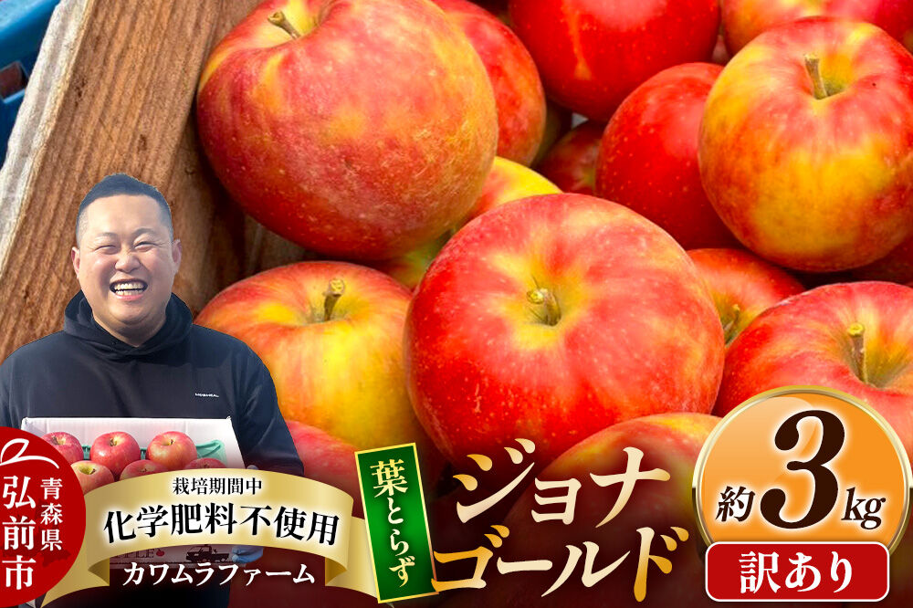 【26年10月発送】りんご 葉とらず ジョナゴールド【訳あり】約3kg カワムラファーム 青森県 弘前市 [果物 フルーツ 林檎 リンゴ くだもの 不揃い 規格外]