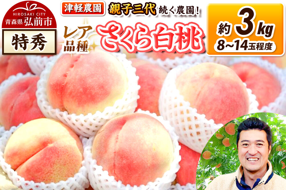 【26年9月発送】桃 約3kg(8〜14玉程度) 青森【2026年産 レア品種 さくら白桃】もも 特秀 くだもの フルーツ 果物 津軽農園 採れたて 農家直送 [おいしい ピーチ フルーツ もも 果実 果物 青森 津軽 桃 白桃 美味]