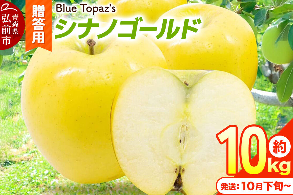 【26年10月下旬〜発送】りんご シナノゴールド【贈答用】約10kg 内のし付き 青森県 弘前市 [アップル おいしい ふじ りんご 果実 果物 黄色 津軽 糖度 美味 林檎]