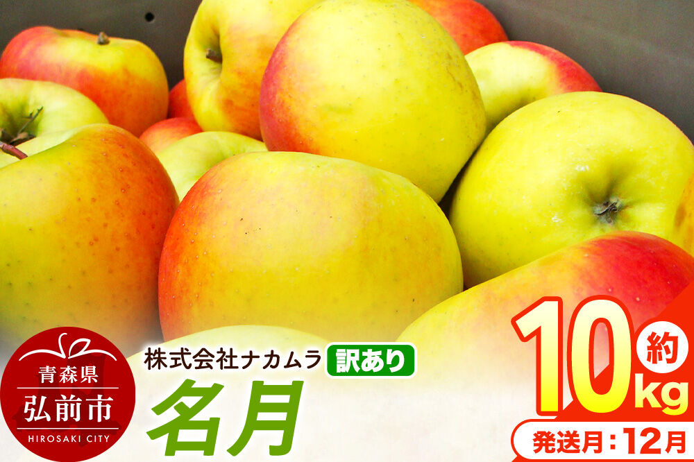 【26年12月発送】りんご 名月【訳あり】約10kg（28〜46玉程度）先行受付 青森県産 林檎 リンゴ 果物 くだもの フルーツ 青森県 弘前市 不揃い 規格外 [先行予約 産地直送 家庭用 アップル おいしい めいげつ 果実 美味 甘い]