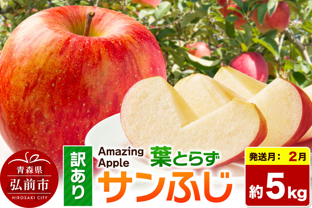 【27年2月発送】りんご 葉とらずサンふじ【訳あり】家庭用 約5kg 先行受付 [先行予約 りんご サンふじ 葉とらず ふじ 訳あり 家庭用 5kg アップル おいしい 果実 果物 取ら 赤色 美味 葉っぱ 林檎 青森県 弘前市]