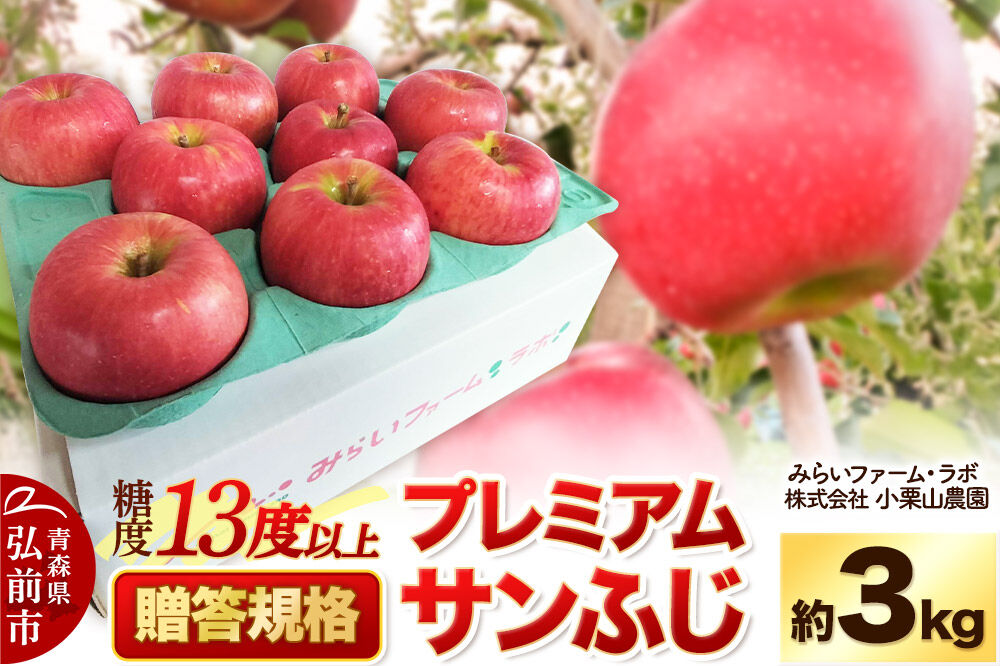 【26年12月発送】りんご 糖度13度以上【贈答規格】プレミアム サンふじ 約3kg 先行受付 [先行予約 アップル おいしい ふじ りんご 果実 果物 フルーツ 赤色 美味 林檎 贈答]