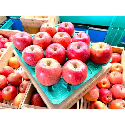 【2025年12月発送予定】平均糖度13度以上! 葉とらずサンふじ 約3kg 訳あり【配送不可地域：離島・沖縄県】【1682750】