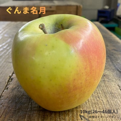 訳あり/家庭用 ぐんま名月 約10kg(26〜46個)【2026年11月〜順次発送予定】【配送不可地域：離島】【1709971】