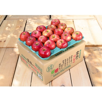 【25年10月より順次発送】平均糖度12度以上! 葉とらずサンつがる 約3kg 訳あり【配送不可地域：沖縄県】【1611764】