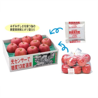 縁起の良い七福神をお届け【青森県産 七福神りんご&ごあいさつりんごセット】鮮度保持剤・保存袋付【配送不可地域：離島・沖縄県】【1508212】