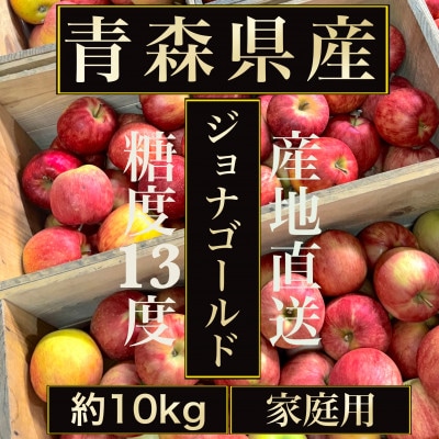 【青森の誇り】青森直送ジョナゴールドりんご約10kg(家庭用/訳あり)【配送不可地域：離島】【1740133】
