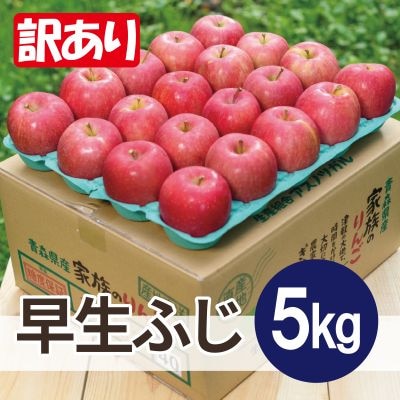 【25年10月より順次発送】平均糖度12度以上! 早生ふじ 約5kg 訳あり【配送不可地域：沖縄県】【1610389】