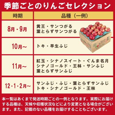 【発送月固定定期便】青森りんご 訳あり 品種おまかせ 5kg 2026年9月〜2027年2月全6回【配送不可地域：離島・沖縄県】【4067588】