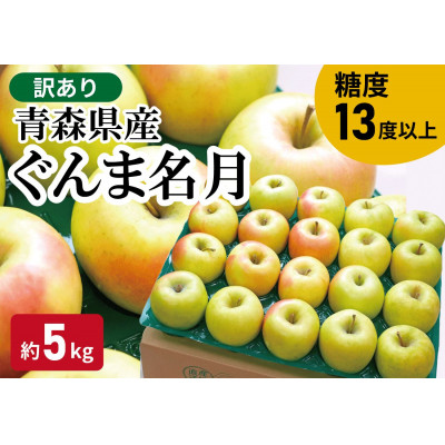 【黒石市産】糖度13度以上保証!ぐんま名月訳アリ家庭用約5kgりんご ※離島・沖縄は配送不可【配送不可地域：離島・沖縄県】【1521275】