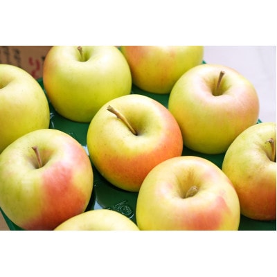 【26年1月より順次発送】平均糖度13度以上! ぐんま名月 約10kg 訳あり【配送不可地域：沖縄県】【1610365】