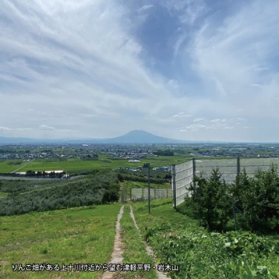 髱呈」ョ逵碁サ堤浹蟶ゆク雁香蟾晉肇繧オ繝ウ縺オ縺100%菴ソ逕ィ縲辟。豺サ蜉縲縺縺。縺九i縺、縺上▲縺溘j繧薙#繧ク繝・繝シ繧ケ縲1Lテ6譛ャ繧サ繝繝医1649811縲