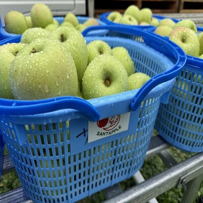 青森県産　黄王(きおう)　家庭用　約3kg　和梨の様なシャキシャキ食感の、軽やかな甘さの夏りんご【配送不可地域：離島】【1648704】