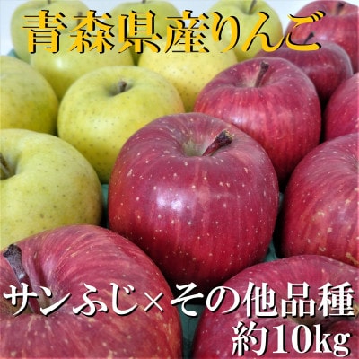 サンふじ×その他品種　約10kg【津軽みらい農業協同組合の青森県産りんご】【1063273】