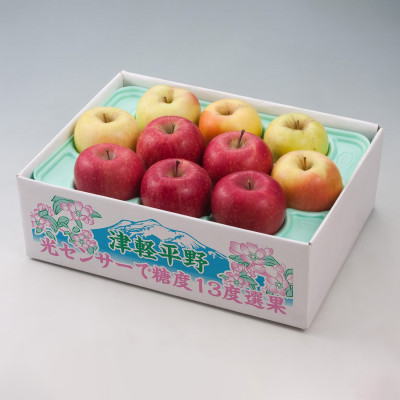 【令和7年産・先行予約】糖度13度選果サンふじ&名月りんご 約2.5kg鮮度保持剤・保存用ポリ袋付【配送不可地域：離島・沖縄県】【1508224】