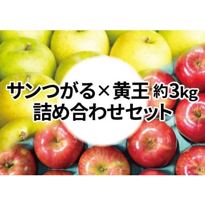 【25年8月より順次発送】糖度12度以上保証! 黄王×サンつがる 約3kg 訳あり  クール便【配送不可地域：離島・沖縄県】【1613844】