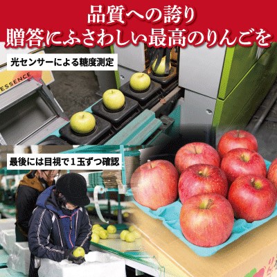 【26年11月から順次発送】平均糖度13度以上! サンふじ 約3kg 贈答用 青森県産 りんご【配送不可地域：沖縄県】【1611203】