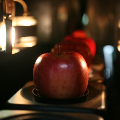 【発送月固定定期便】〈2025年9月より順次発送〉青森県産りんご約5kg 全3回【配送不可地域：離島・沖縄県】【4051693】