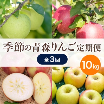 【発送月固定定期便】青森りんご 訳あり 品種おまかせ 10kg 12月〜2月全3回【配送不可地域：離島・沖縄県】【4067595】