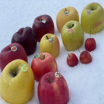 飲むりんご!青森県産りんごジュース　オリジナルブレンド　1L瓶×6本入　天然果汁100%【1725195】