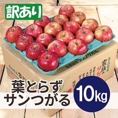 【25年9月より順次発送】平均糖度12度以上! 葉とらずサンつがる 約10kg 訳あり  クール便【配送不可地域：離島・沖縄県】【1611765】