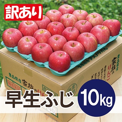 【黒石市産】糖度12度以上保証!早生ふじ訳あり家庭用約10kg【配送不可地域：離島・沖縄県】【1519966】