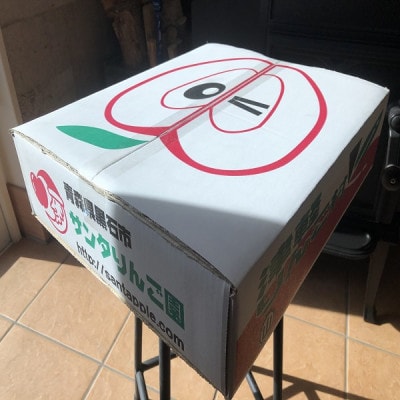 園主おススメ!　旬のりんご詰め合わせ　【贈答用】　約5キロ　4品種食べ比べ【1568465】