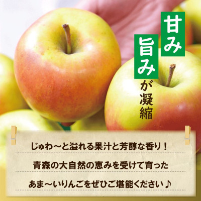 【黒石市産】糖度13度以上保証!ぐんま名月訳アリ家庭用約5kgりんご ※離島・沖縄は配送不可【配送不可地域：離島・沖縄県】【1521275】