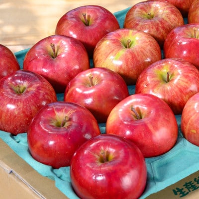 【26年9月より順次発送】平均糖度12度以上! 葉とらずサンつがる 約3kg 訳あり  クール便【配送不可地域：離島・沖縄県】【1611770】