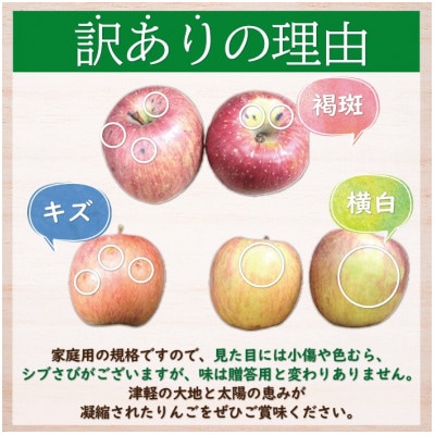 糖度13度以上保証!サンふじ訳アリ家庭用約5kgりんご ※離島・沖縄は配送不可【配送不可地域：離島・沖縄県】【1563558】