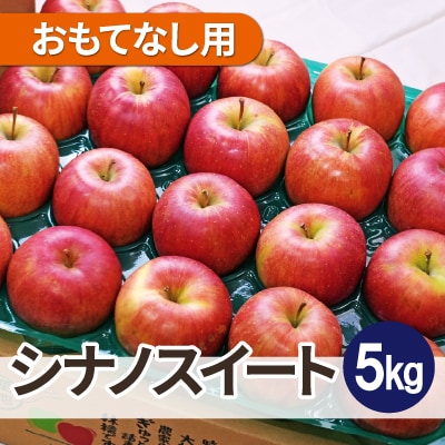 【26年1月より順次発送】平均糖度13度以上! シナノスイート 約5kg おもてなし用【配送不可地域：沖縄県】【1611319】
