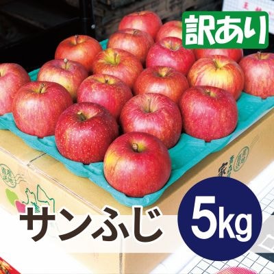 【26年6月より順次発送】平均糖度13度以上! サンふじ 約5kg 訳あり  クール便【配送不可地域：離島・沖縄県】【1611239】