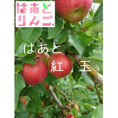 青森県産りんご　’はあと’紅玉　3K箱【1425256】